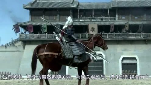 “开元集团网站官网”科技企业要明白1999年一去不返(图1) KY开元集团官网