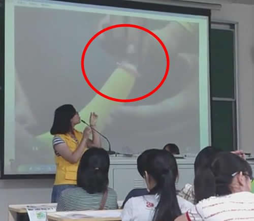 “开元集团网站官网”科技企业要明白1999年一去不返(图2) KY开元集团官网