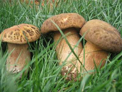 开元集团网站官网