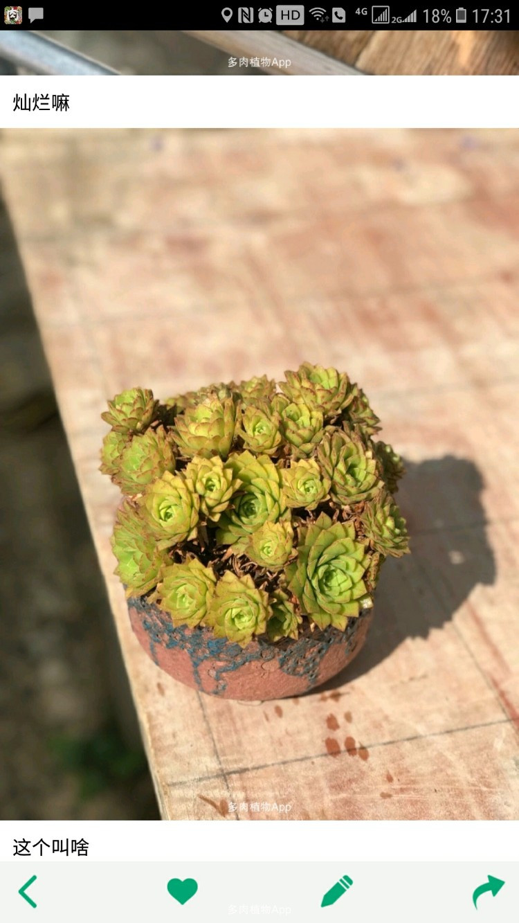 探究:机器人是怎样上春晚的|KY开元集团官网(图1) KY开元集团官网