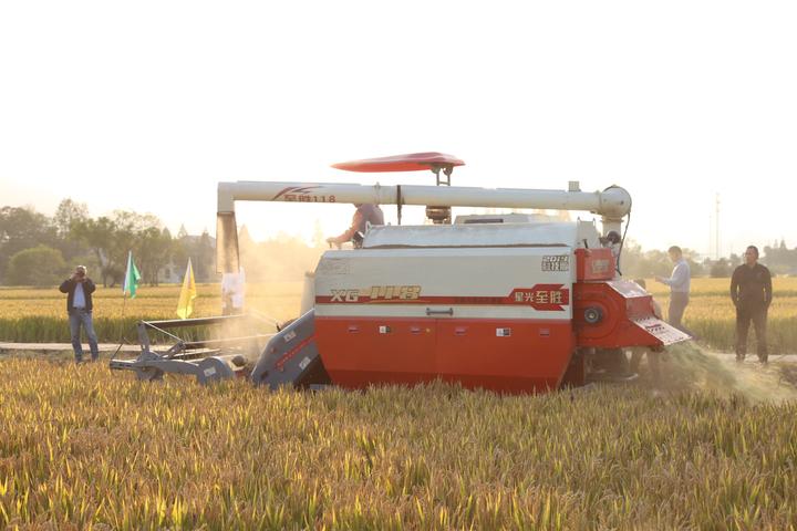 开元集团网站官网