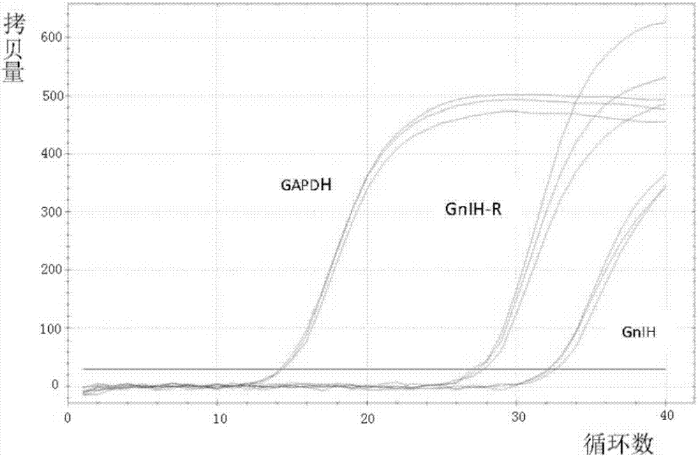 KY开元集团官网