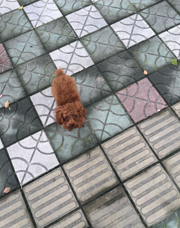 【开元集团网站官网】昆明27项目获5350万元补贴金额从100万到400万元(图1) 开元集团网站官网