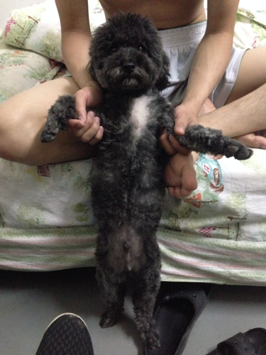 ‘开元集团网站官网’许多中国人现在推迟购买苹果设备(图2) KY开元集团官网