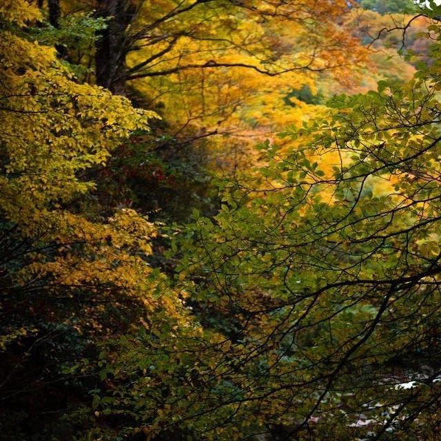 首发丨慧川智能获数千万元Pre-A轮融资,打造AI+视频云平台中央厨房|开元集团网站官网(图2) KYKY开元