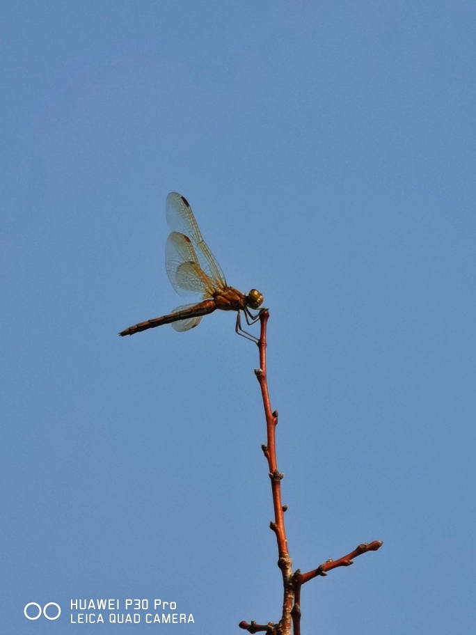 开元集团网站官网