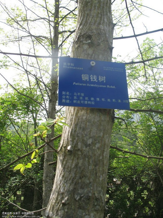 开元集团网站官网